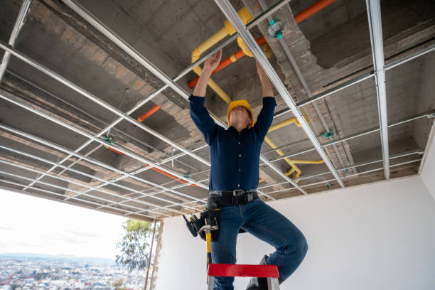 Best Plumbing Inspection Services  in Bowling Green, FL